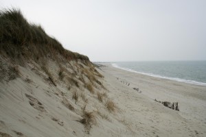 IMG_1142-3