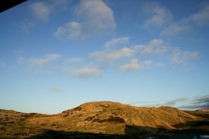 IMG_1156-4