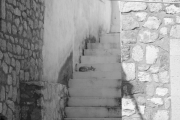 IMG_5122