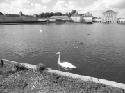 P8120455