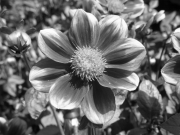 P8150536