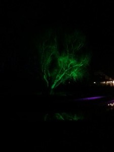 IMG_20150221_190147