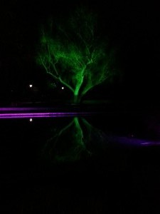 IMG_20150221_190534