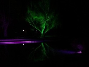 IMG_20150221_190549