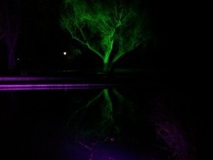 IMG_20150221_190602