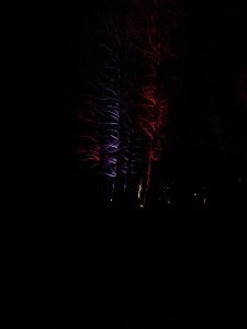 IMG_20150221_192926