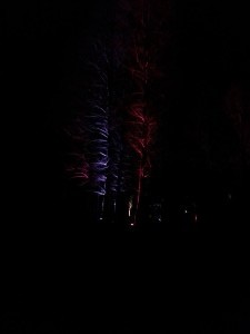 IMG_20150221_192931