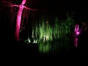 IMG_20150221_202759