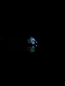 IMG_20150221_204103