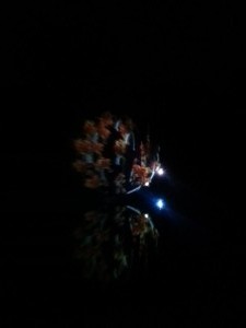 IMG_20150221_204214