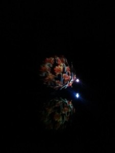 IMG_20150221_204215