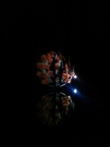 IMG_20150221_204222