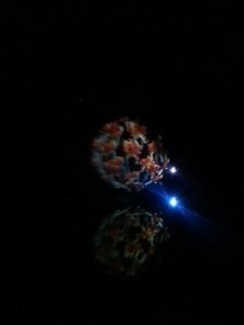 IMG_20150221_204229