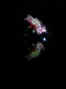 IMG_20150221_204243